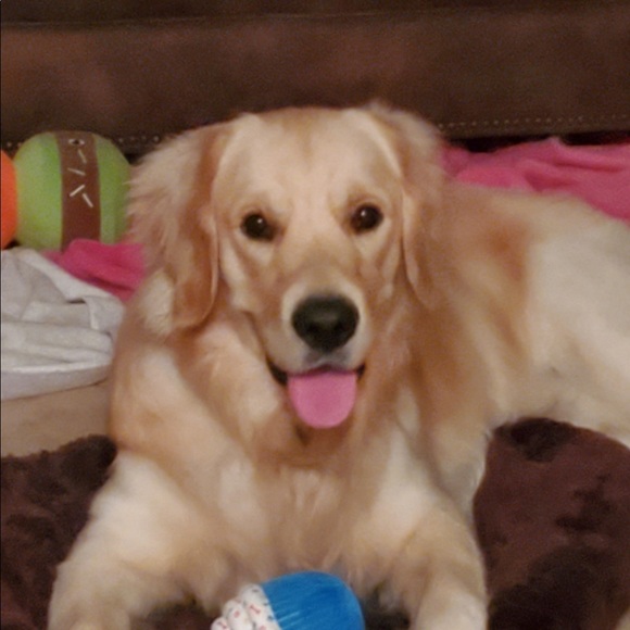 ❀✿＊*HI!&WELCOME to MY Closet❀✿＊ - Picture 7 of 8